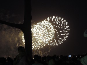 Impressive view of the fireworks from Kings Park