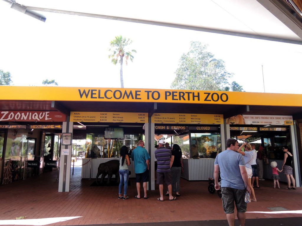 Start of Perth Zoo visit