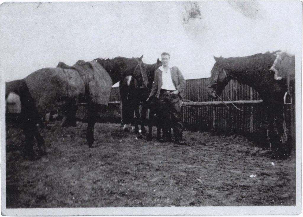 Syd with the horses.